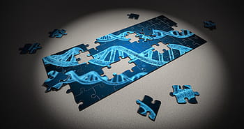 shallow, focus photography, blue, black, jigsaw puzzle, Puzzle, Dna, Research, Genetic, Piece, dna, research