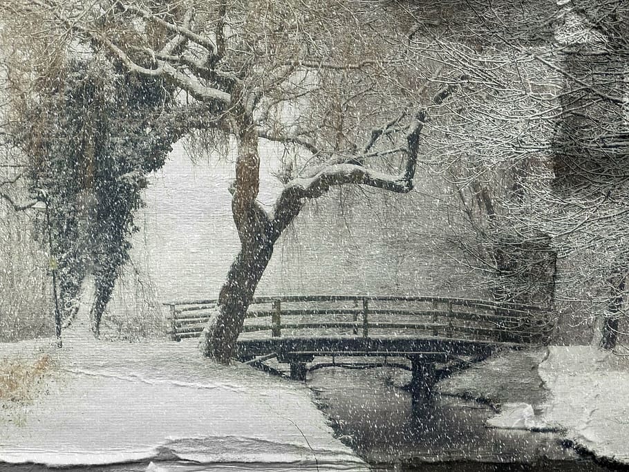 bare, tree, covered, snow, paper, torn, crack, broken, art, creative, winter
