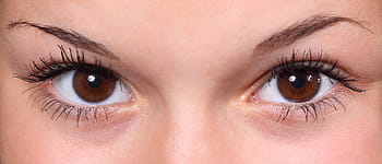 human brown eyes, beautiful, close-up, eye, eyebrows, eyelashes, eyes, female, iris, look, macro