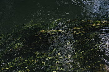 Río, agua, corriente del río, naturaleza, fondos, líquido, resumen, mojado, ondulación, al aire libre, reflexión