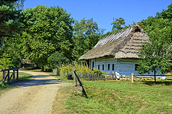 bílý, Dům, špinavé silnici photo, Sanoku, skanzen, venkovská chata, dřevěné kuličky, střechu, Polsko, starý, architektura