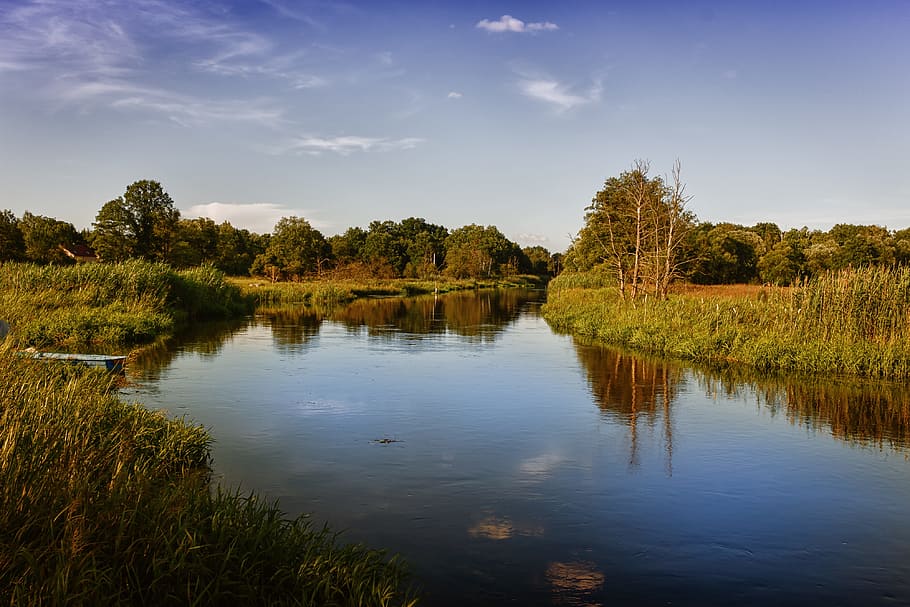 krajina, spree, nálada, Příroda, voda, letní, řeka, idylický, zrcadlení, říční krajina, odraz