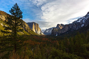 山の近くの木、 ヨセミテ、 山岳、 自然、 カリフォルニア、 旅行、 パーク、 全国の、 米国、 風景、 空