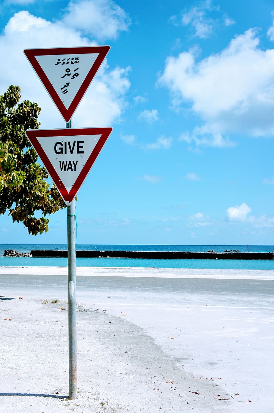 Paradise, Give Way, Right Of Way, Beach, road sign, street sign, traffic sign, road, warning sign, sky, cloud - sky