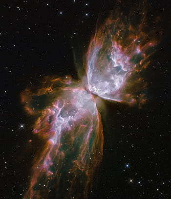 beetle fog, galaxies, star, ngc 6302, planetary fog, constellation skorpion, hubble weltraumteleskops, universe, space, explosion, supernova