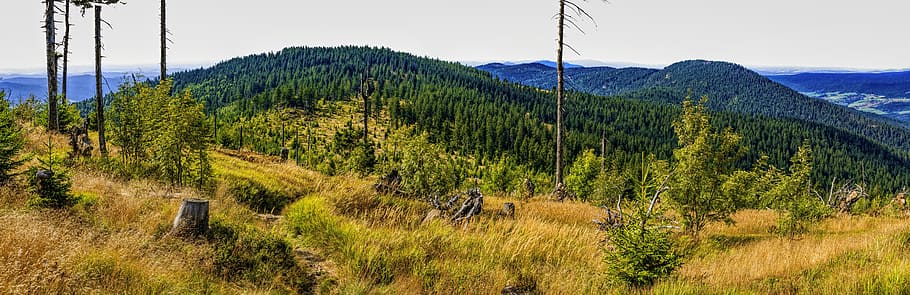 panoráma, bavorský les, nebe, krajina, Příroda, les, idylický, bavaria, Pohled, turistika, výhled
