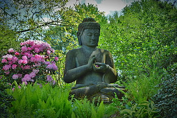 gautama socha Buddhy, kvetoucí strom, socha, budda, modlit se, kamenná postava, sochařství, Asie, buddhismus, Buddha, náboženství