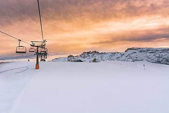 holý, strom, zasněžený, fotografování v terénu, sníh, Příroda, kabel, krajina, jízda, venkovní, dobrodružství