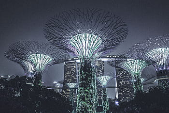 hager, bukt, singapore, Urban, mørk, natt, lys, arkitektur, bygning, etablering, kontor