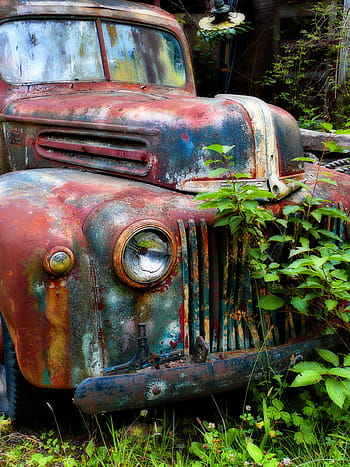 rusted, vehicle, plants, abandon, classic, red car, old, rusty, car, truck, ford