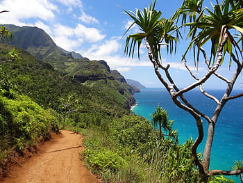 hory vedle oceánu, napali pobřeží, kauai, nawiliwili, Příroda, hawaii, krajina, národní park, stezka, moře, pláž