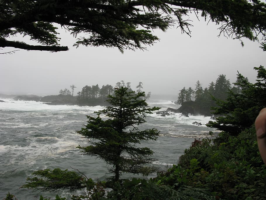 bouřka, vln, tofino, ostrov Vancouver, Pacifik, oceán, scenérie, Kanada, Britská Kolumbie, pobřeží