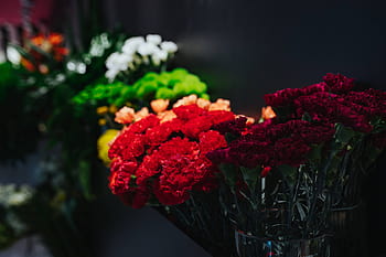 flores, rosas, flora, lindo, buquê, colorido, bonito, Coleção, flor, buquês