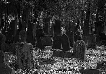 náhrobky, během dne, fotografie ve stupních šedi, hřbitov, náhrobek, smrt, zanechat, opustit, hrobka, starý, strašidelný, divoký