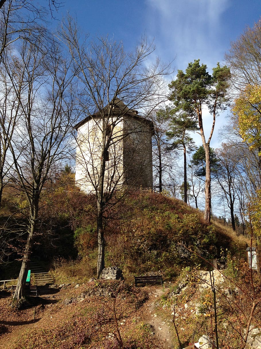i padri fondatori, castello, il parco nazionale, vecchio, monumento, storia, Polonia, il Museo, le rovine del, autunno