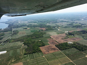 nature, airplane, plane, aerial, trees, field, green, grass, lot