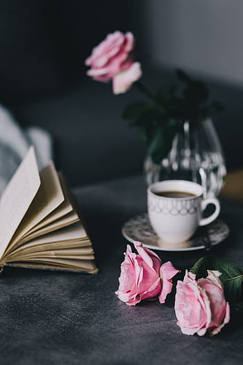 encantador, rosas, libro, café, rosa, interior, descanso, relajarse, esencial, lectura, tiempo