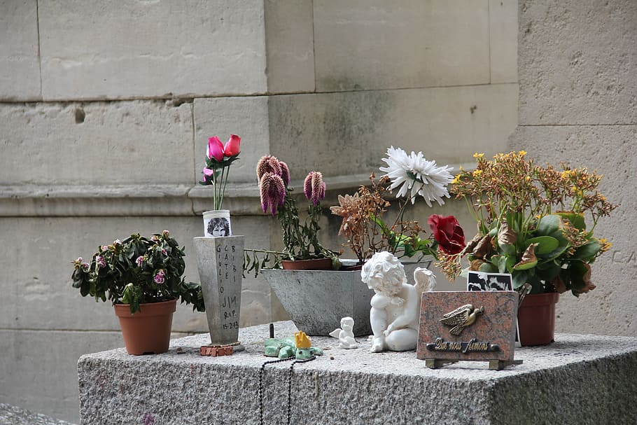 jim morrison, Morrison je, hrob, hrobka, Paříž, hrob jejich morrisona, květ, nikdo, den, rostlina, růst
