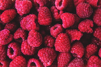 shot, fresh, raspberries, Closeup, fresh raspberries, food/Drink, food, fruit, red, freshness, raspberry