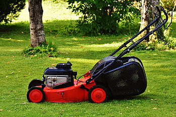 rosso, nero, Spingere, falciatore, campo d'erba, taglia erba, giardinaggio, falciare, taglia l'erba, superficie dell'erba, giardino