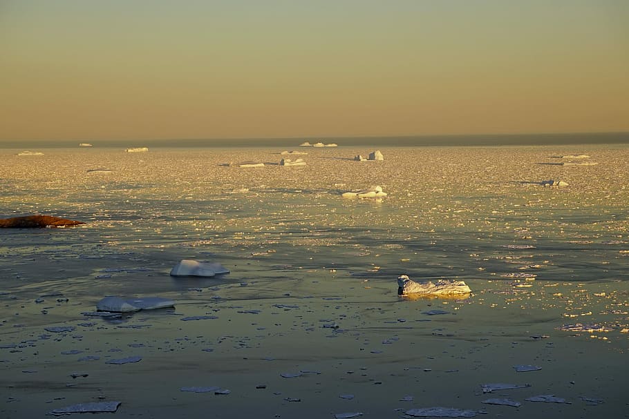 Greenland, Arctic Circle, Sea, Icebergs, ice, nature, water, environment, tranquility, waterfront