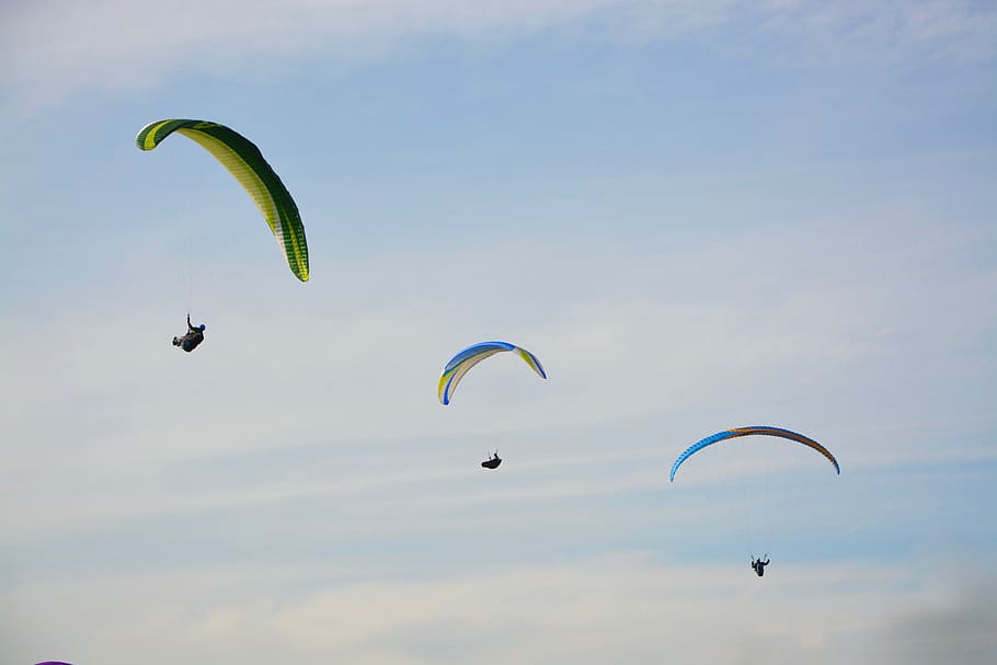 paragliders, practice in flight, para motor, wind, air, sports activities, clécy, road crest suisse normande, normandy, france, leisure