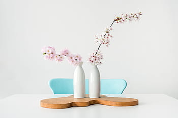 bianca, rosa, fiori, ceramica, vaso, fiore, tavolo, sedia, interno, design, display