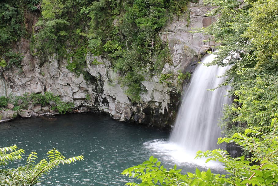 チョンジョン滝済州、 滝、 韓国、 秋、 水、 風景、 自然、 川、 屋外の、 ナチュラル、 ストリーム