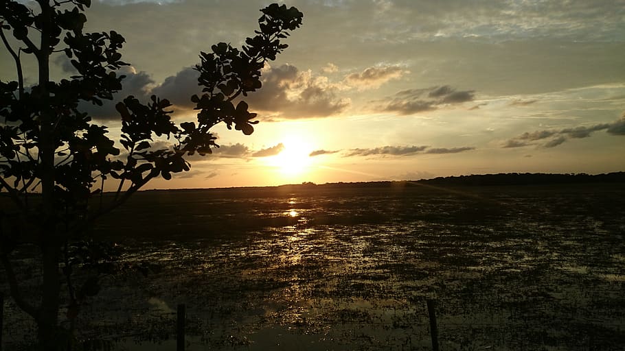 natura, sol, tramonto, nube, fine del pomeriggio, acqua
