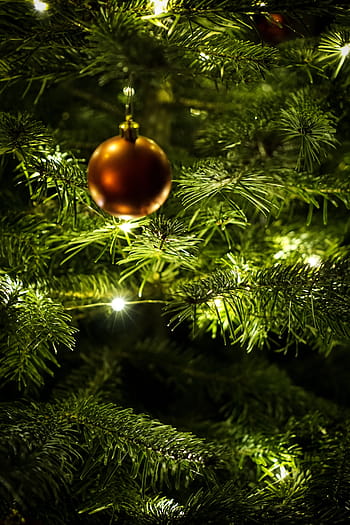 zelený vánoční strom, Vánoce, míč, vánoční ozdoby, vánoční ozdoba, weihnachtsbaumschmuck, Vánoční cetka, Vánoční čas, vánoční dekorace, vánoční strom, strom dekorace