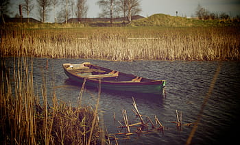 green, brown, jon boat, river, photography, sail, boat, body, water, lake, reeds