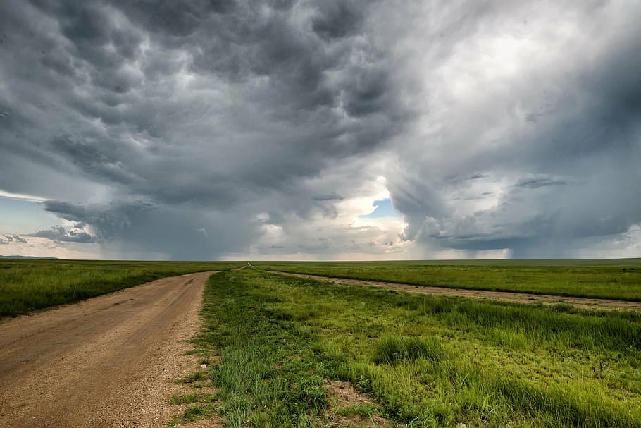fotografování, rozšíření, silnice, tráva, Země, bouřka, horizont, louka, úzkost, cesta, krok
