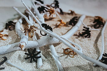 close-up, bermacam-macam, barang pameran, Koleksi, pameran, barang, closeup, seni, logam, instalasi, musim dingin