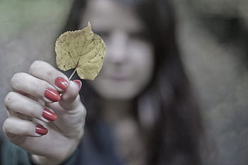 selektivní, soustředit se, žena, hospodářství, žlutá, list, selektivní zaměření, šedá, zelená, ruce, listy