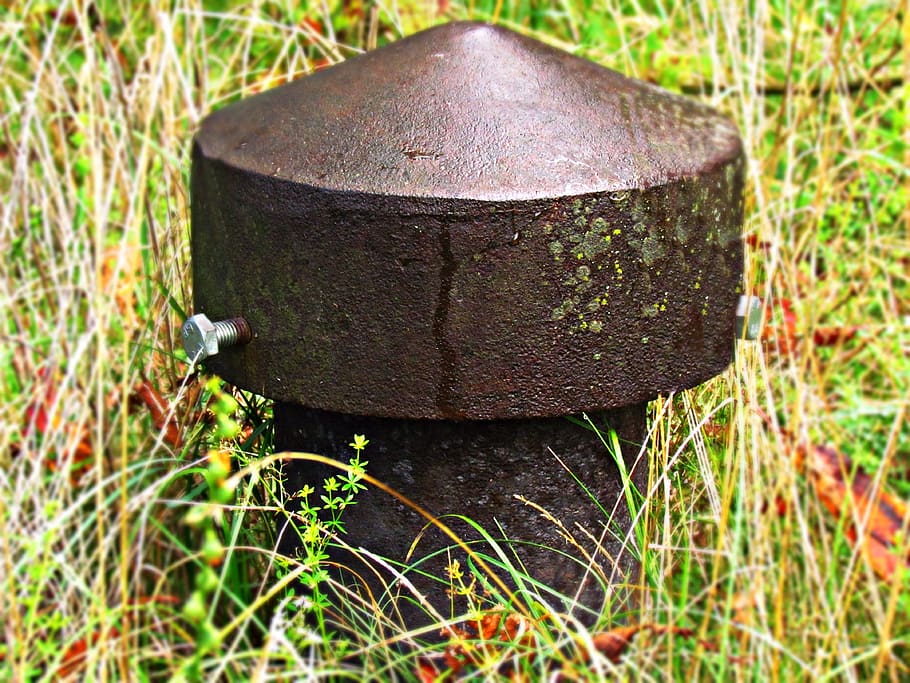 erba, prato, idrante, natura