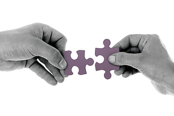 two, person, holding, purple, puzzles, connect, jigsaw, strategy, puzzle pieces, business solutions, puzzle