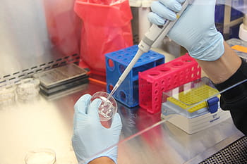 osoba, hospodářství, bílý, trubka, Věda, laboratoř, výzkum, vědecká laboratoř, vědecký, medicína, technologie