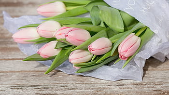 růžový, Tulipán květy, horní, hnědý, stůl, květ, tulipán, Příroda, rostlina, kytice, list