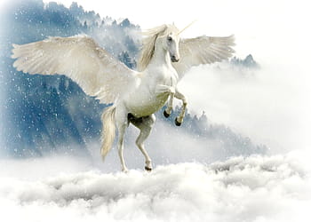 pegasus, cloudy, sky, unicorn, mythical creatures, fairy tales, mystical, horse, wing, mythical animal, horn