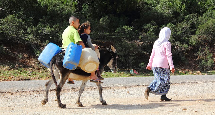 boy, girl, riding, donkey, daytime, poor, road, africa, poverty, tunisia, carry