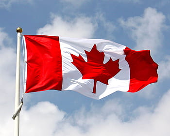 waving, canada flag, pole, day, National, Flag, Of, Canada, national, flag, canada, sky, wind, blue
