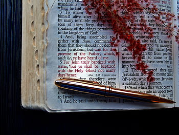 bílá bible stránka, bible, verš, Bůh, pero, duch svatý, Svatý Duch, text, tráva, růžový, světlo