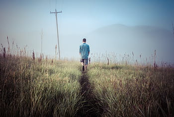 uomo, passeggiate, verde, campo d'erba, persona, a piedi, campo, escursioni a piedi, prato, natura, all'aperto