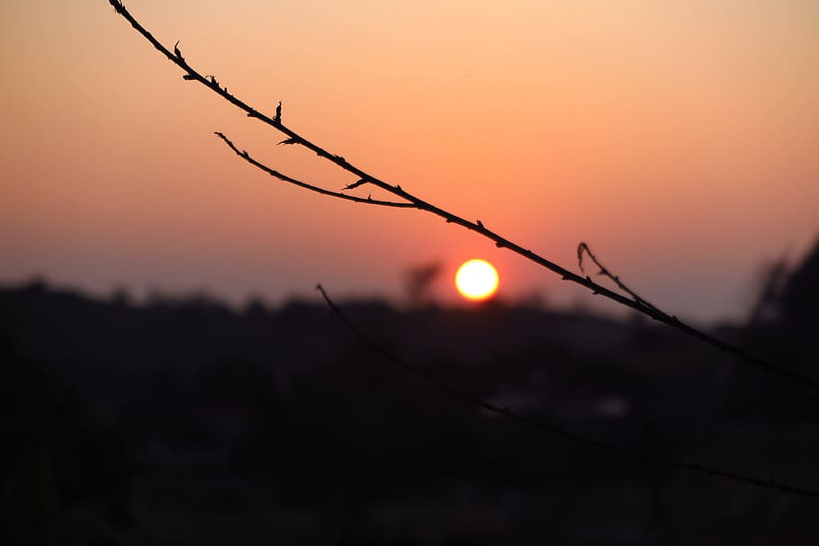 Before Sunset, Tree, sunset, sun, sky, lanscape, vietnam, love, sunshine, light, summer