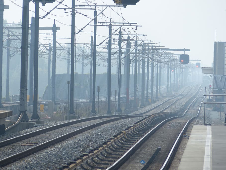 Railway, Train, Amsterdam, seemed, central station, netherlands, technology, signal, city, impression, cable