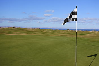 Gold, Grass, Green, Green, Field, Flag, grass, green, field, finish, golf course, golf, sport