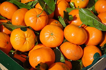 košík, oranžový, ovoce, klementinky, vitamíny, klementine, citrus × aurantium, hybridní, citrus, citrusové ovoce, mandarinka