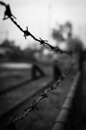 ostnatý drát, barb wire, Černý a bílý