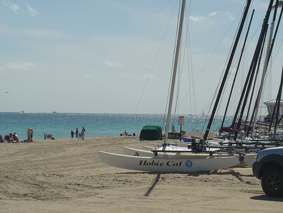 bílý, koníček kočka, mořského pobřeží, během dne, pevnost, lauderdale, pláž, Florida, atlantický, oceán, písek