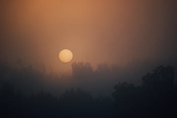 silhouette, trees, sunset, foggy, full, moon, sunrise, morning, dawn, sky, nature